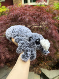 Fluffy Spider
