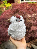 Fluffy White & Cream Chicken