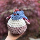 Rainbow Chicken