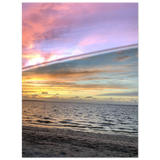 f8b8605b-1db2-41f9-8871-eb1c82195666